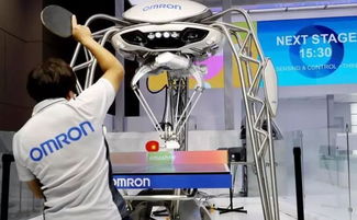 聚焦進(jìn)博會(huì) 三成參展企業(yè)來自“一帶一路”沿線，共繪經(jīng)貿(mào)合作新圖景